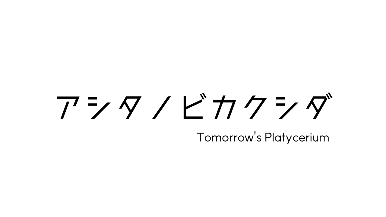アシタノビカクシダ